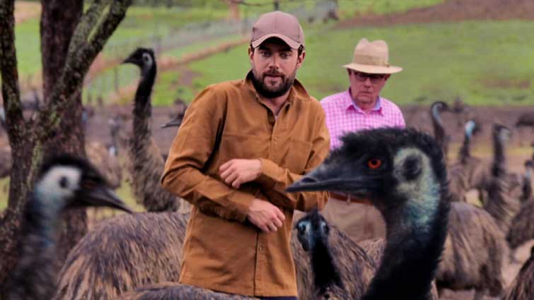 Netflix Estrenos Septiembre 2020 Jack Whitehall Travels with My Father