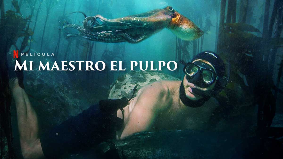 Mi Maestro El Pulpo Netflix Pelicula Documental Emotivo Netfliteando